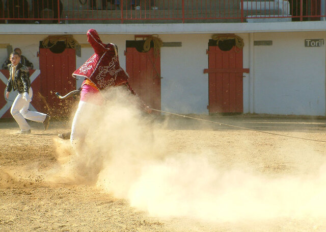 Impossible de lire la video